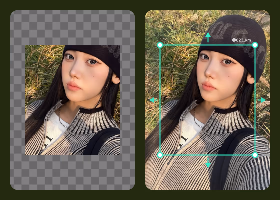PhotoCat AI Image Extender